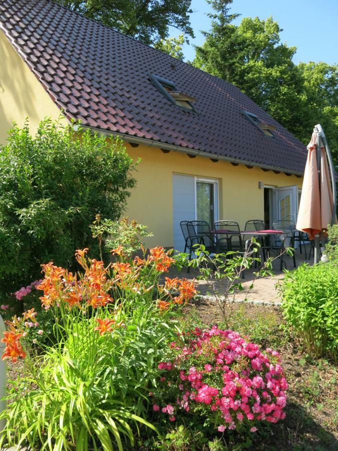 Schölzke‘s Ferienhaus Ralswiek Exterior foto